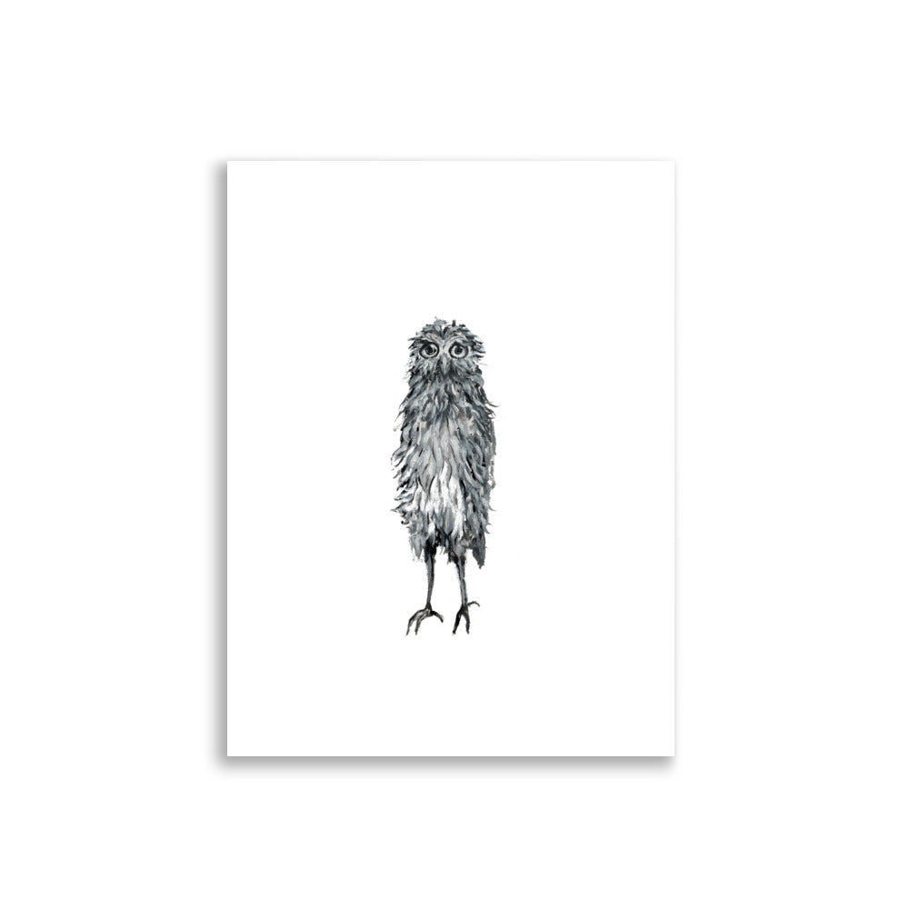 Poster "Harry - the sorrowful owl" - ErikaWiklund.art