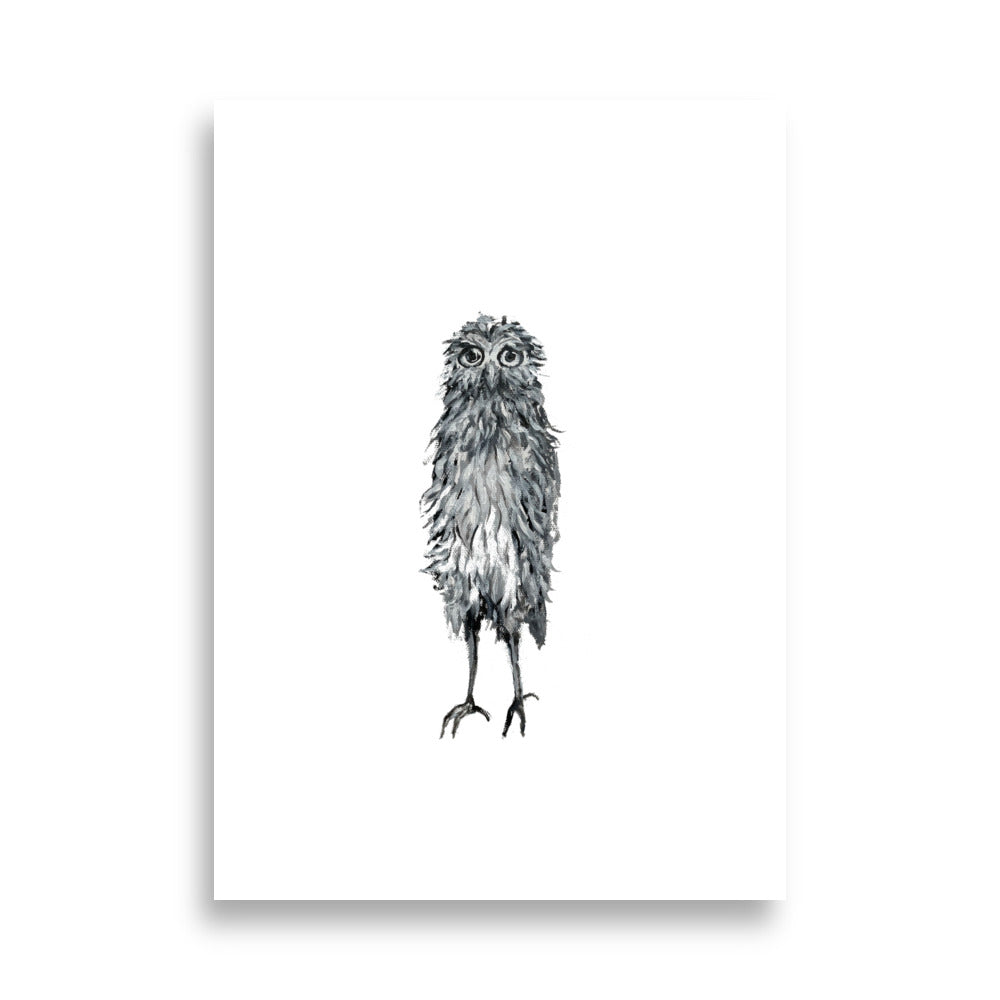 Poster "Harry - the sorrowful owl" - ErikaWiklund.art