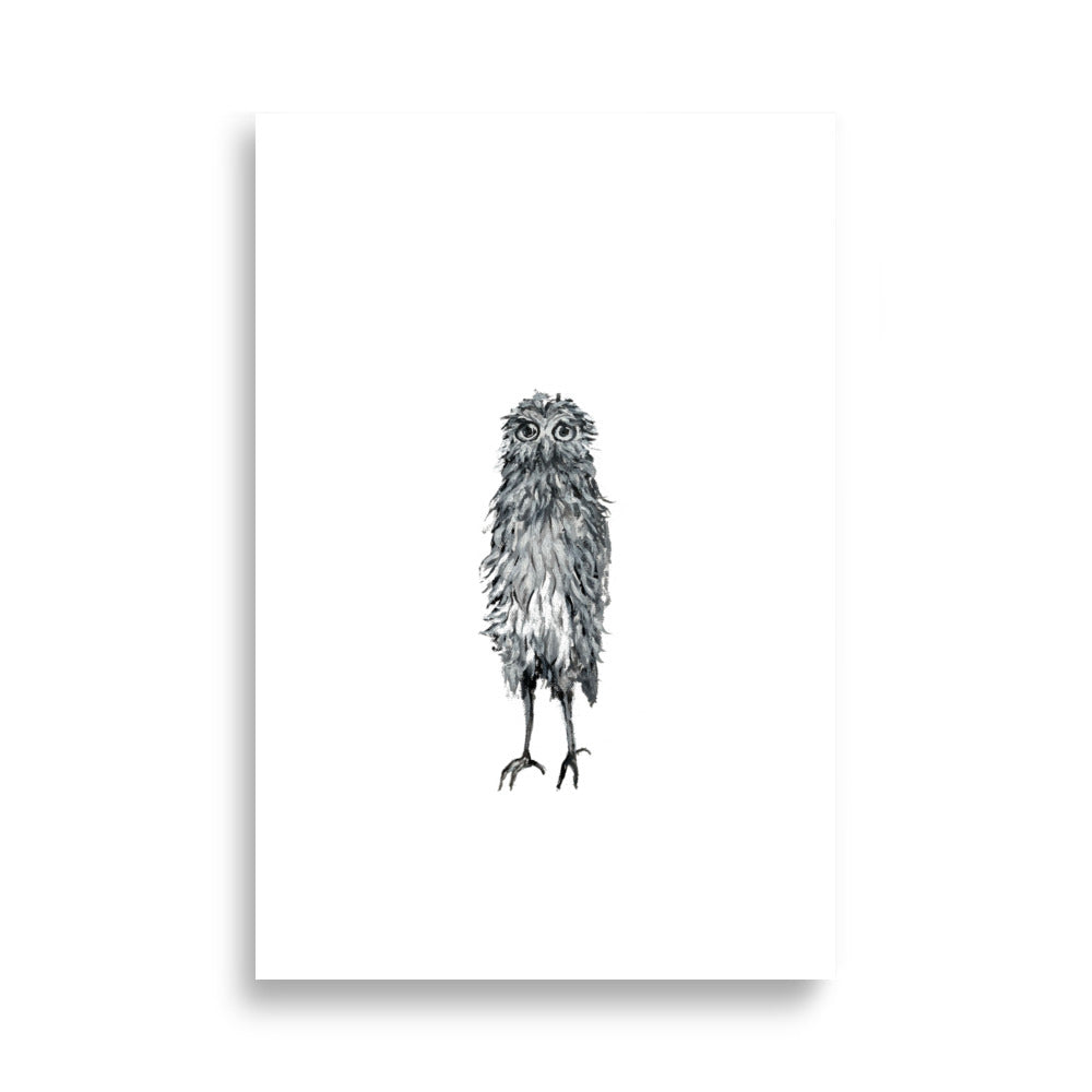 Poster "Harry - the sorrowful owl" - ErikaWiklund.art